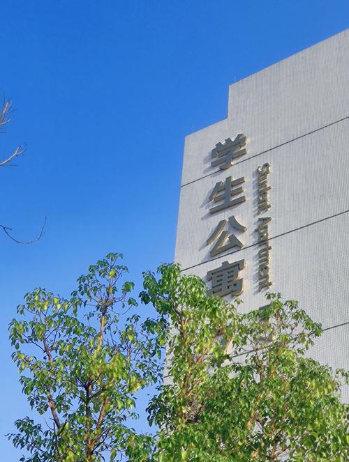 科贸日常